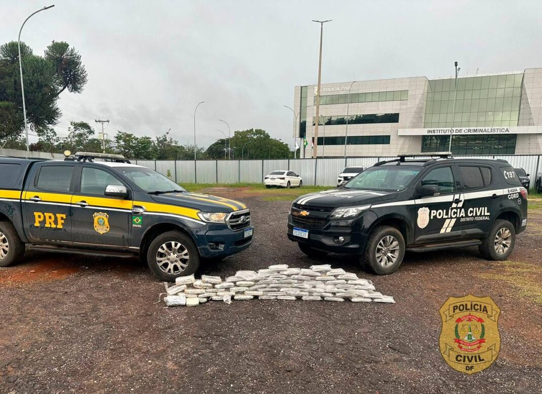 Operação conjunta da PRF e PCDF apreende 100 kg de Skunk