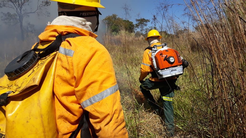 Divulgado resultado preliminar de etapa da seleção de brigadistas